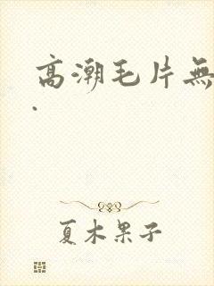 高潮毛片无遮挡.