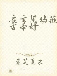 夜玄周幼薇 万古帝婿