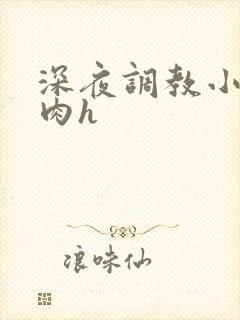 深夜调教小娇妻肉h
