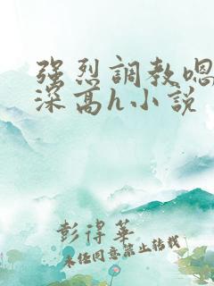 强烈调教嗯啊好深高h小说