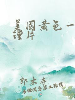 美国黄色一级伦理片