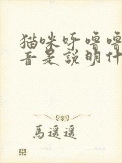 猫咪呼噜噜的声音是说明什么