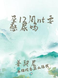 孕12周nt要憋尿吗