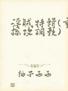 淫贼特辑(重口总攻调教)