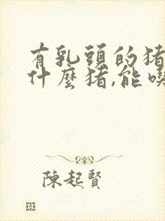 有乳头的猪肉是什么猪,能吃吗