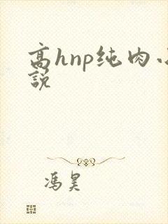 高hnp纯肉小说