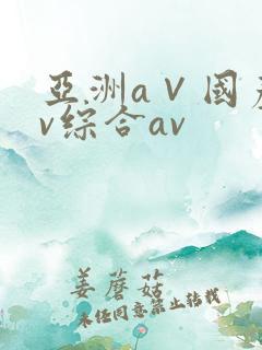 亚洲a∨国产av综合av