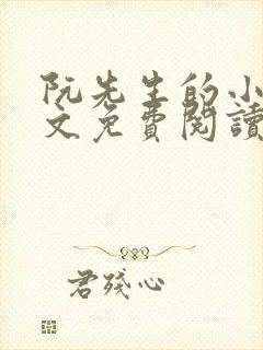 阮先生的小说全文免费阅读无弹窗