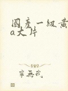 国产一级黄色aa大片