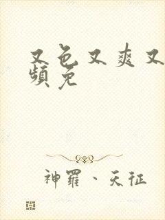 又色又爽又黄视频免