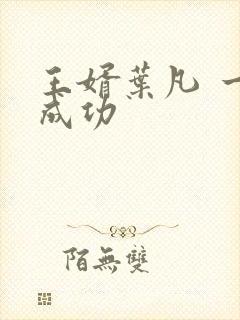 王婿叶凡 一起成功