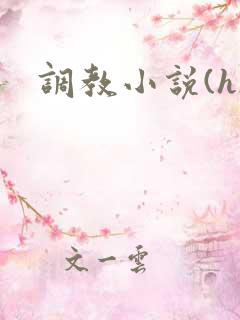 调教小说(h)