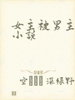 女主被男主c的小说