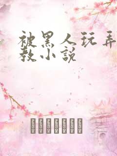 被黑人玩弄h调教小说