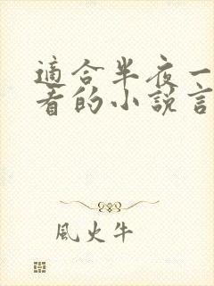 适合半夜一个人看的小说言情