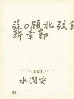 苏o顾北弦的最新章节