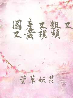 国产又粗又猛爽又黄视频