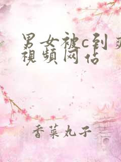 男女被c到爽流视频网站