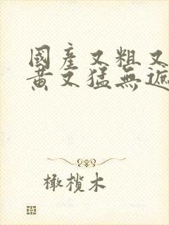 国产又粗又爽又黄又猛无遮挡