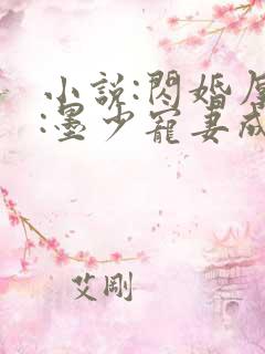 小说:闪婚厚爱:墨少宠妻成瘾