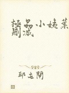 极品小姨叶凡无删减