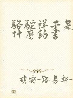 骆驼祥子是关于什么的书