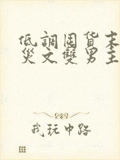 低调囤货末世天灾文双男主