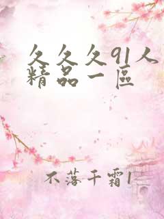 久久久91人妻精品一区