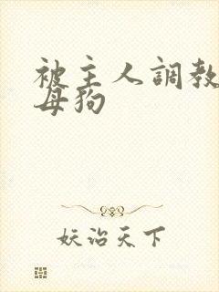 被主人调教成骚母狗