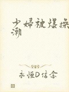 少妇被爆操到高潮