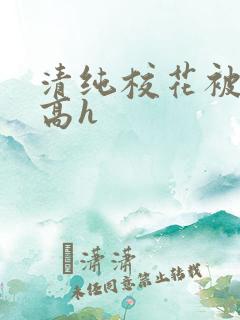 清纯校花被调教高h