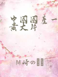 中国国产一级特黄大片