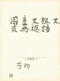 国产又粗又猛又爽无遮挡