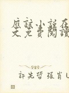 应该小说在线全文免费阅读