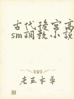古代后宫高h sm调教小说