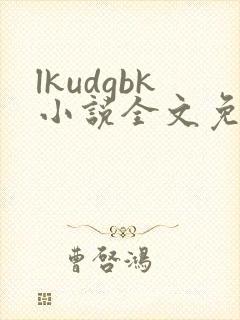 lkudgbk小说全文免费阅读笔趣阁无弹窗