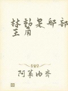 林动是哪部小说主角