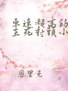 车速超高的双男主死对头小说