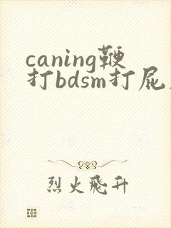 caning鞭打bdsm打屁股视频
