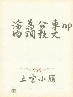 沦为公车np纯肉调教文