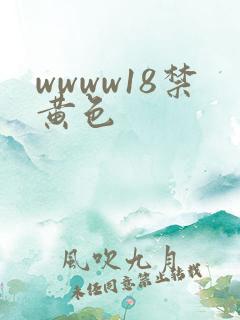 wwww18禁黄色