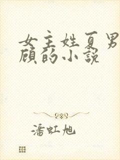 女主姓夏男主姓顾的小说