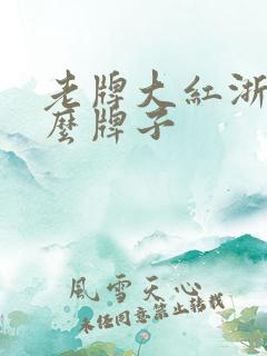 老牌大红浙醋什么牌子