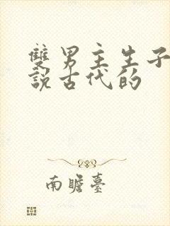 双男主生子文小说古代的