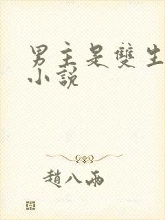 男主是双生子的小说