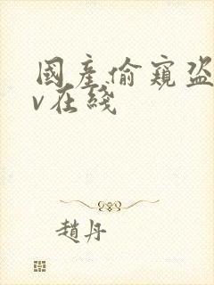 国产偷窥盗摄av在线