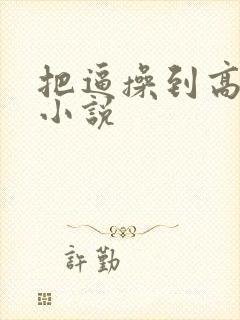 把逼操到高潮的小说