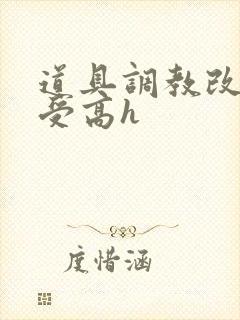 道具调教改造淫受高h