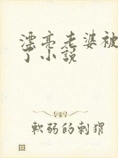 漂亮老婆被玩坏了小说