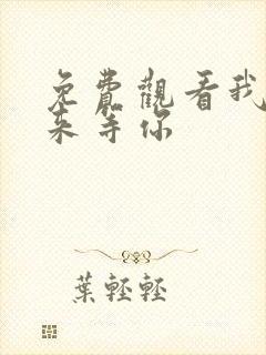 免费观看我在未来等你